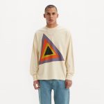 Levi's® Skateboarding Men's Graphic Boxy Long-Sleeve T-Shirt