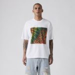 Levi's? Skateboarding Men's Graphic Boxy T-Shirt